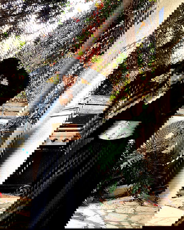 shanikaneko image ~ Altpins