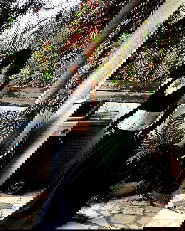 shanikaneko image ~ Altpins