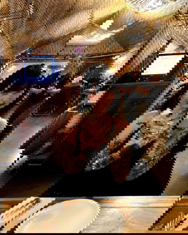 shanikaneko image ~ Altpins