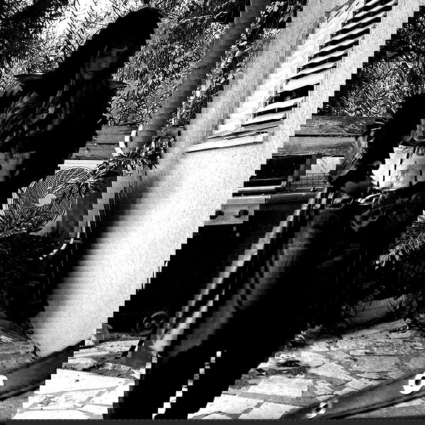 shanikaneko image ~ Altpins