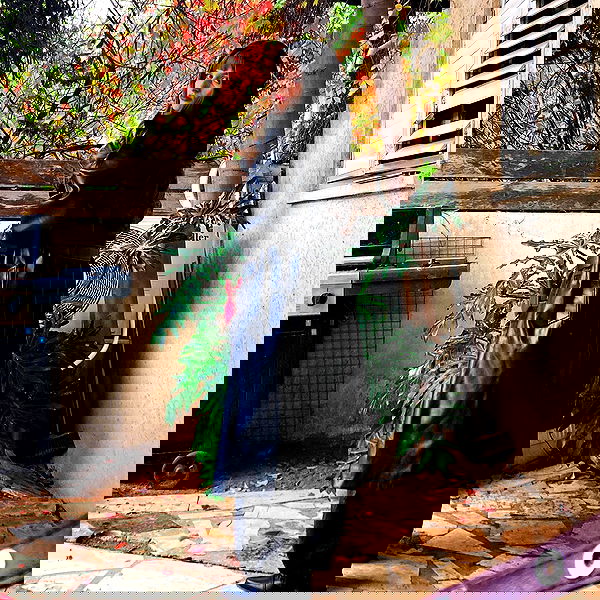 shanikaneko image ~ Altpins