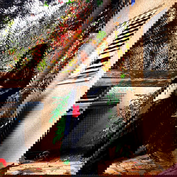 shanikaneko image ~ Altpins