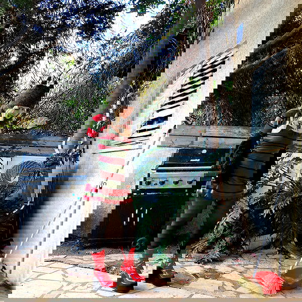 shanikaneko image ~ Altpins