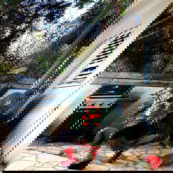 shanikaneko image ~ Altpins