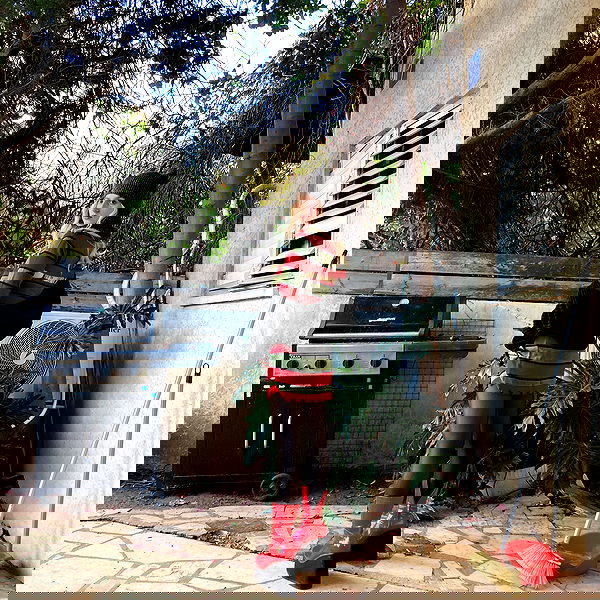 shanikaneko image ~ Altpins