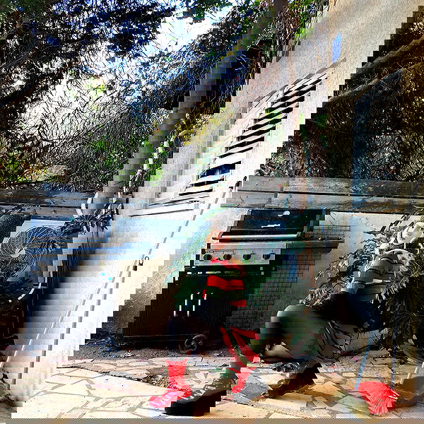 shanikaneko image ~ Altpins