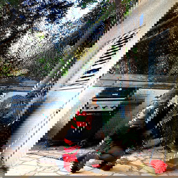 shanikaneko image ~ Altpins