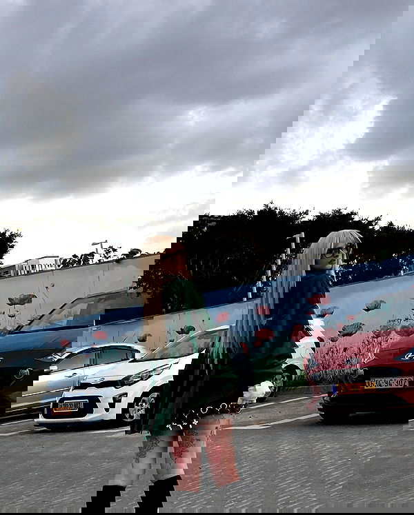 shanikaneko image ~ Altpins