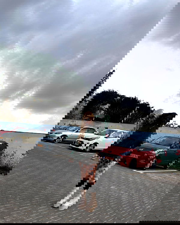 shanikaneko image ~ Altpins