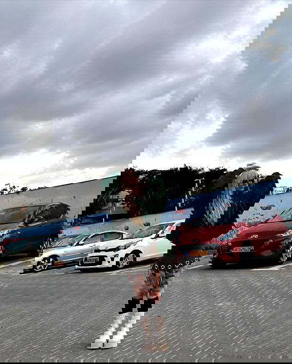 shanikaneko image ~ Altpins