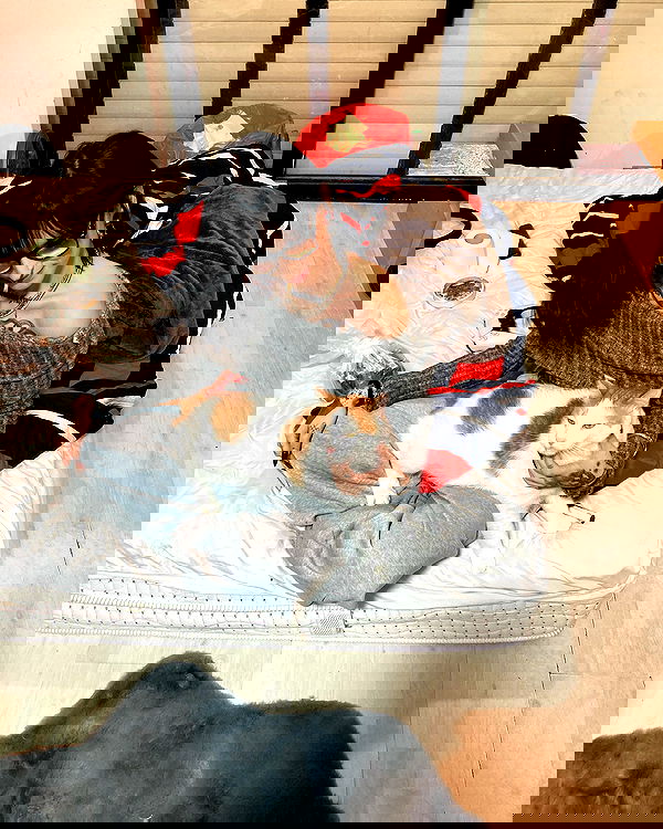 shanikaneko image ~ Altpins