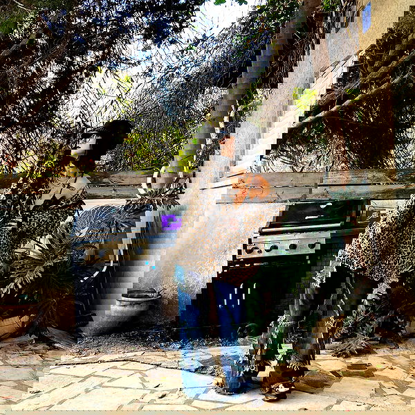 shanikaneko image ~ Altpins