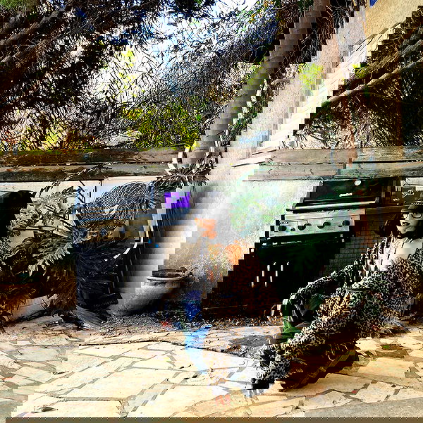 shanikaneko image ~ Altpins