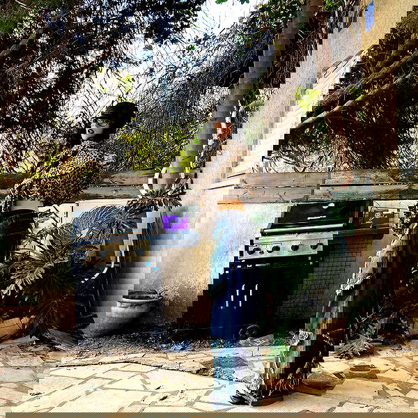 shanikaneko image ~ Altpins