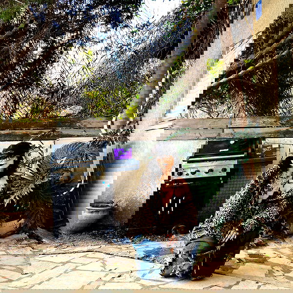 shanikaneko image ~ Altpins