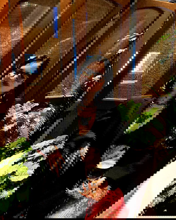 shanikaneko image ~ Altpins