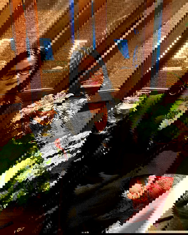 shanikaneko image ~ Altpins