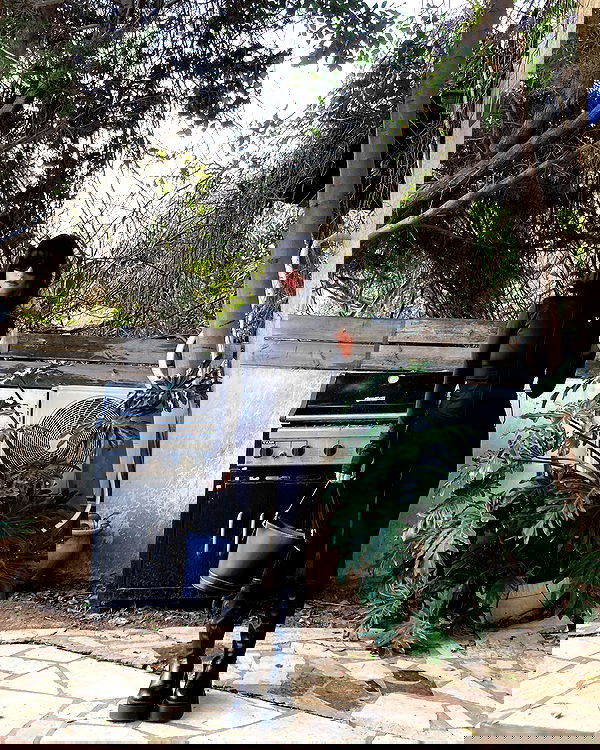 shanikaneko image ~ Altpins