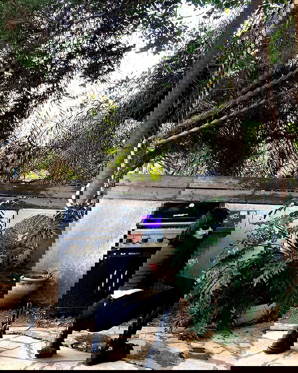 shanikaneko image ~ Altpins