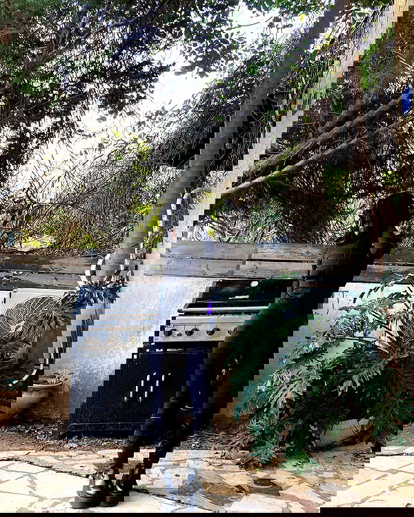 shanikaneko image ~ Altpins