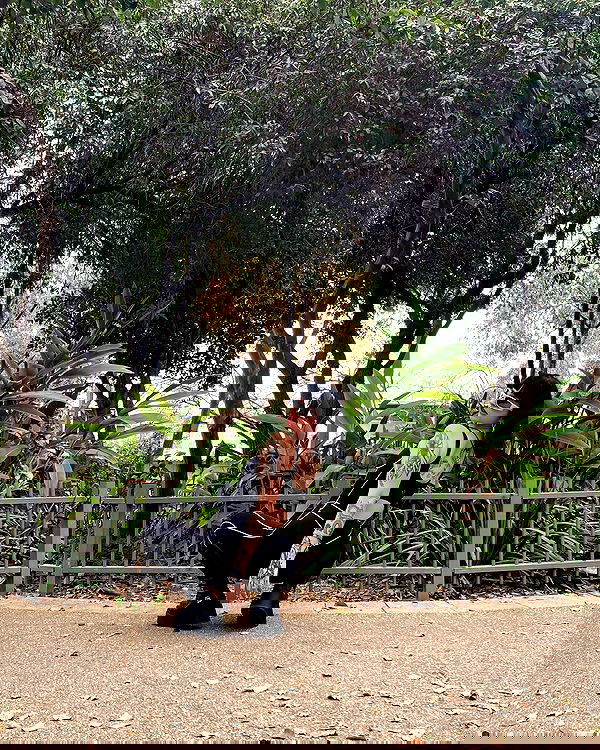 shanikaneko image ~ Altpins