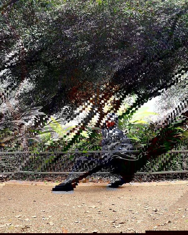 shanikaneko image ~ Altpins