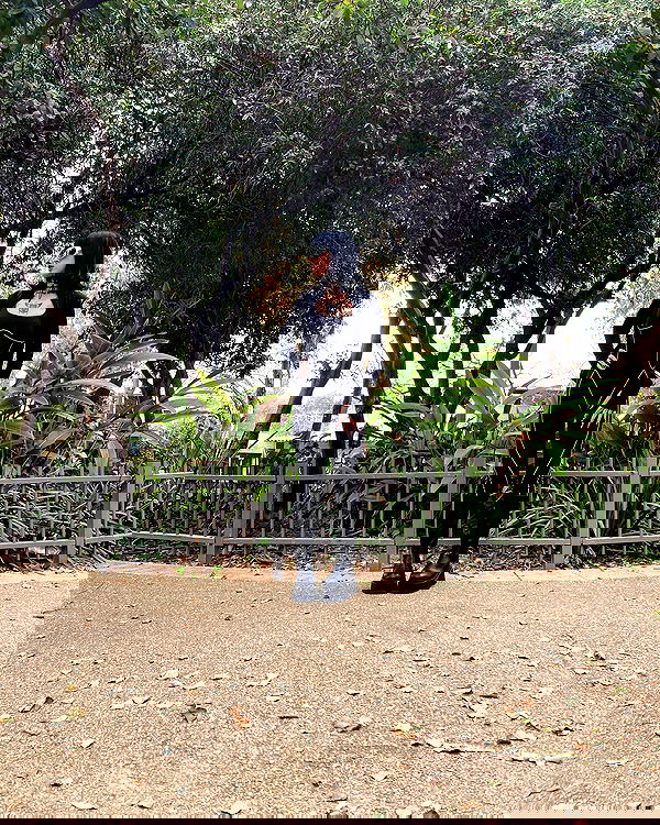 shanikaneko image ~ Altpins