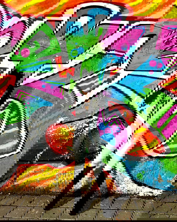 shanikaneko image ~ Altpins