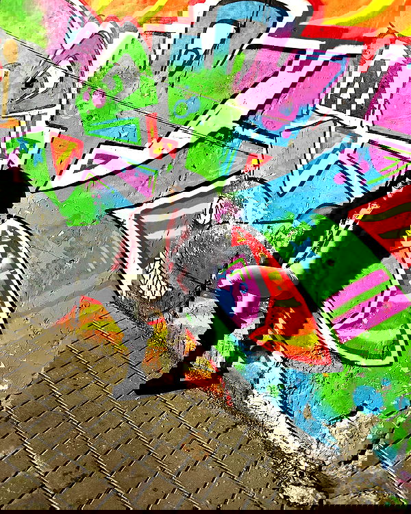 shanikaneko image ~ Altpins