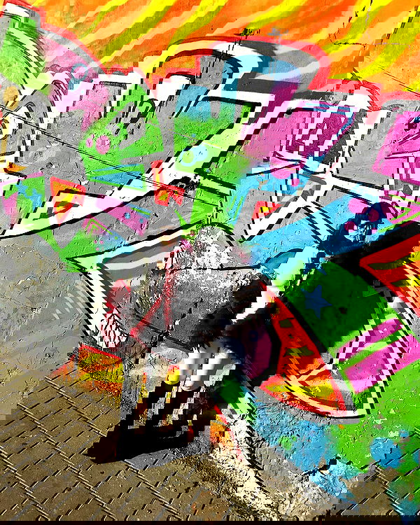 shanikaneko image ~ Altpins