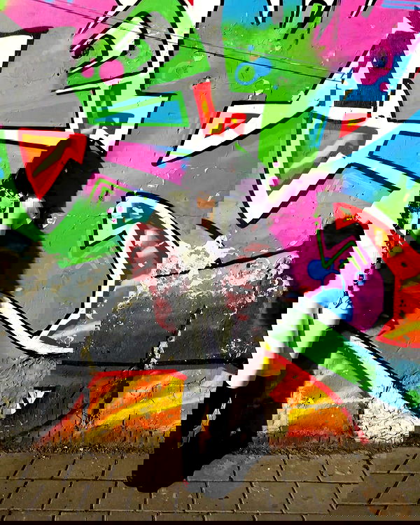 shanikaneko image ~ Altpins