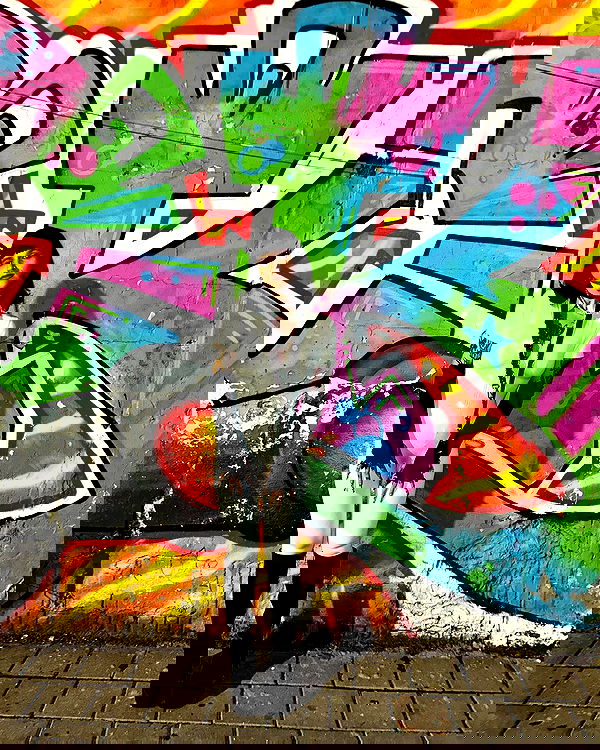 shanikaneko image ~ Altpins