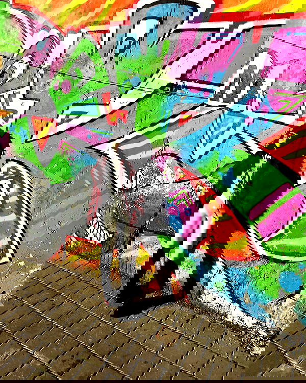 shanikaneko image ~ Altpins