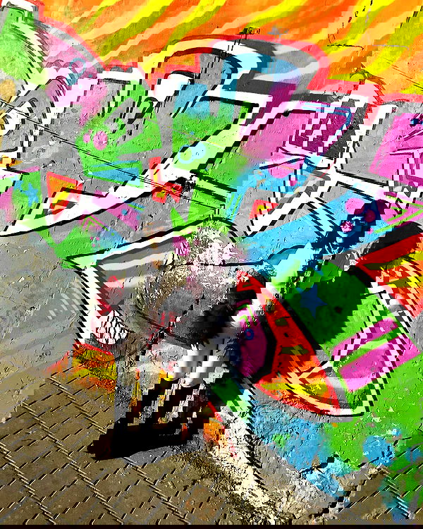 shanikaneko image ~ Altpins