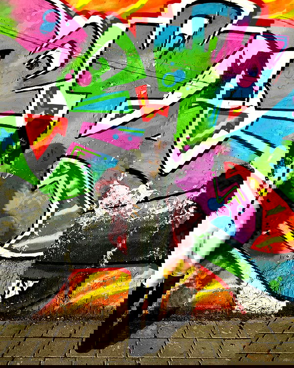 shanikaneko image ~ Altpins