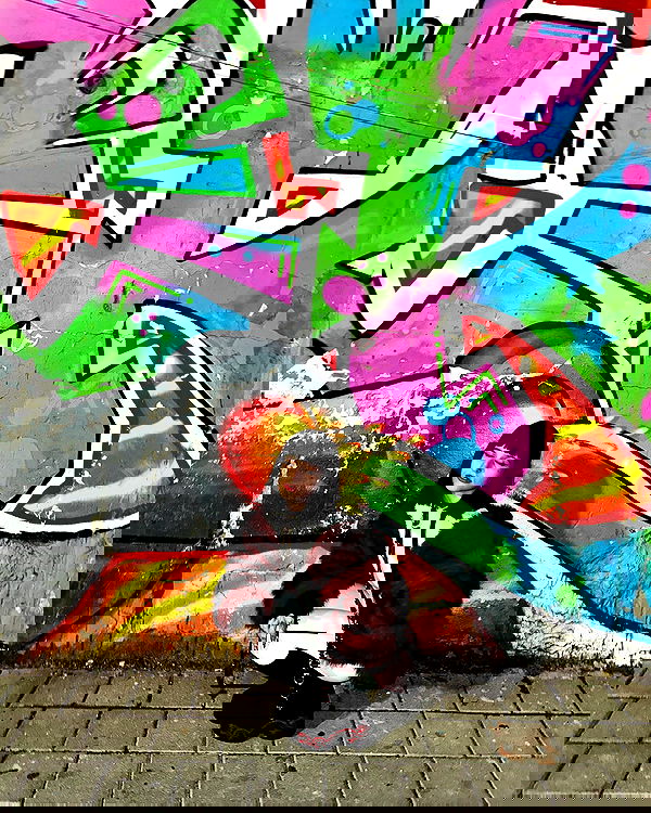 shanikaneko image ~ Altpins