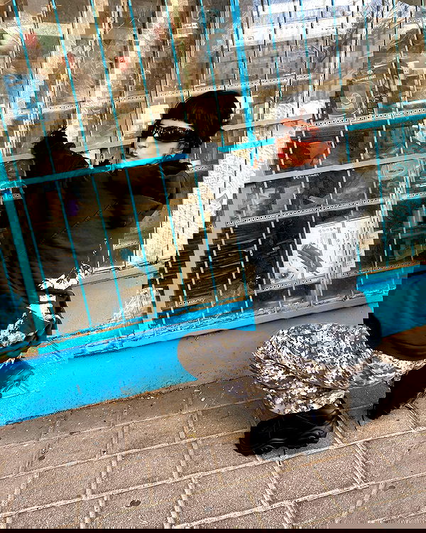 shanikaneko image ~ Altpins