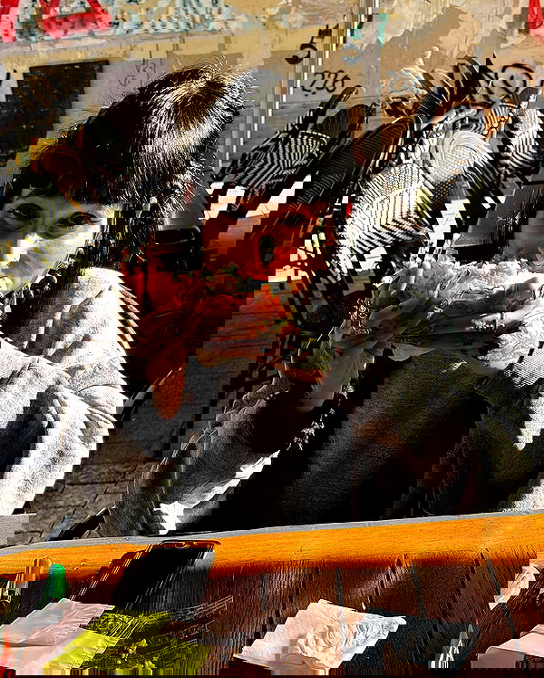 shanikaneko image ~ Altpins