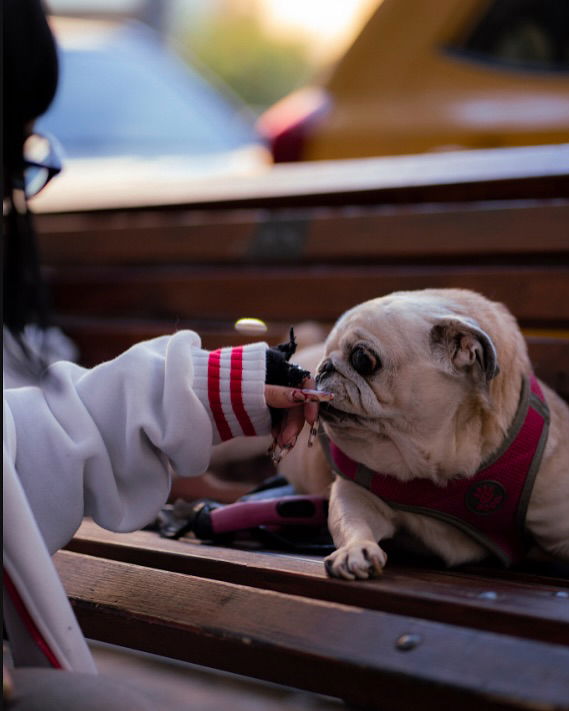 shanikaneko instagram image archive image