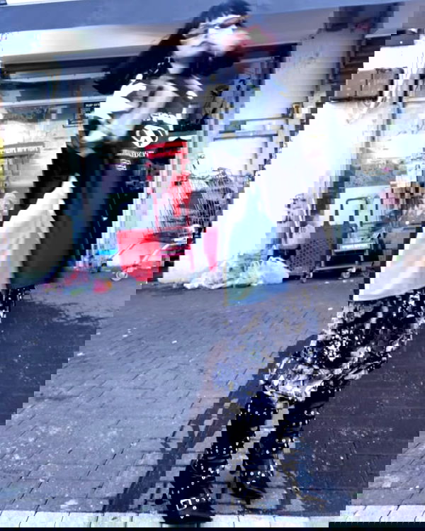 shanikaneko image ~ Altpins