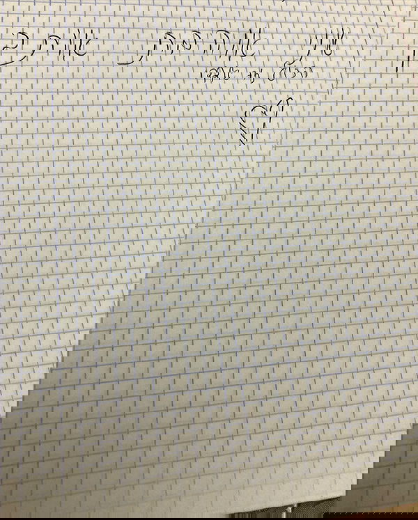 shanikaneko image ~ Altpins