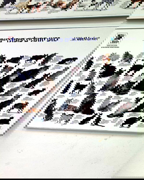 shanikaneko image ~ Altpins