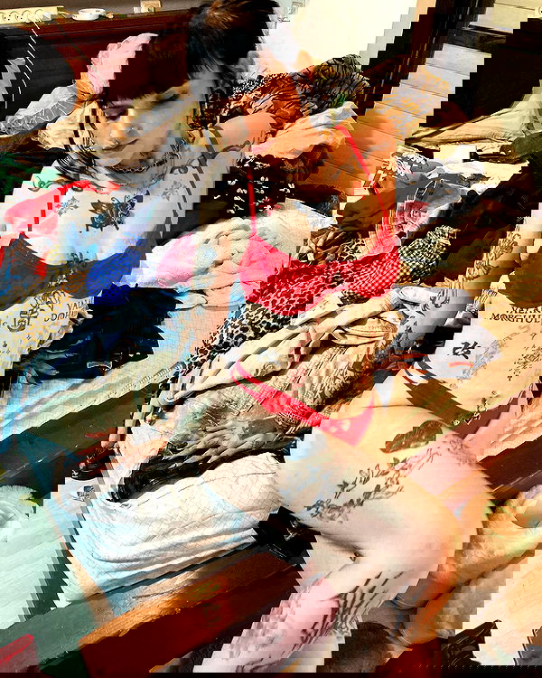 shanikaneko image ~ Altpins