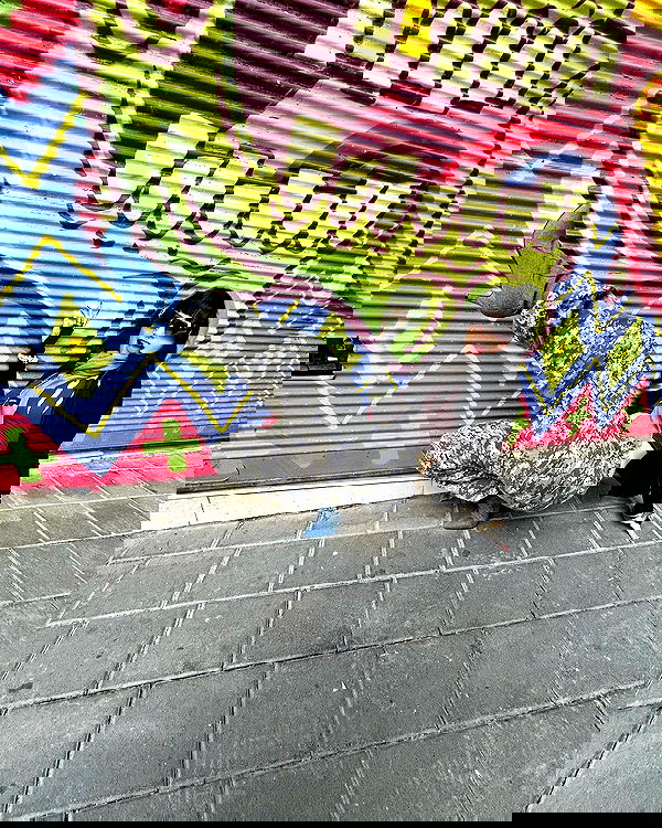 shanikaneko image ~ Altpins