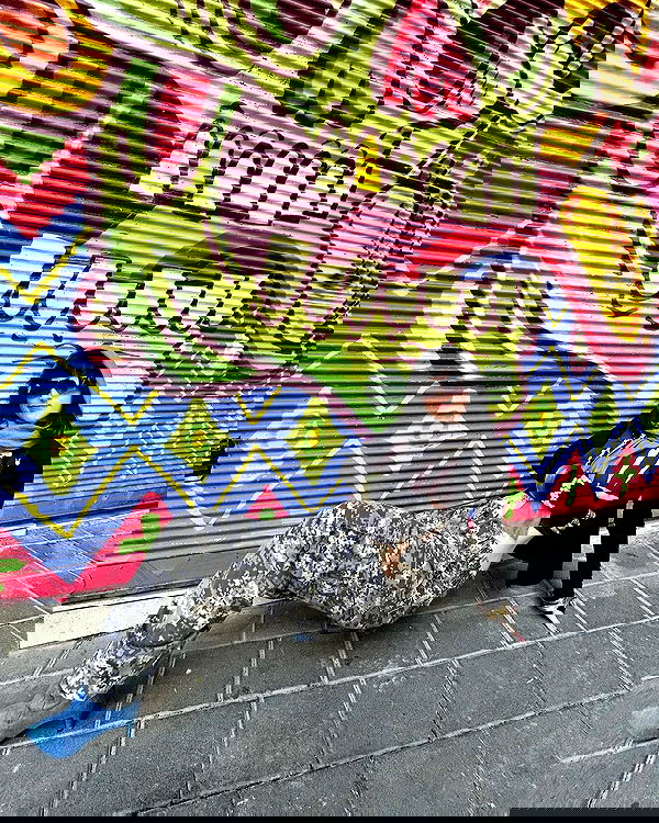 shanikaneko image ~ Altpins