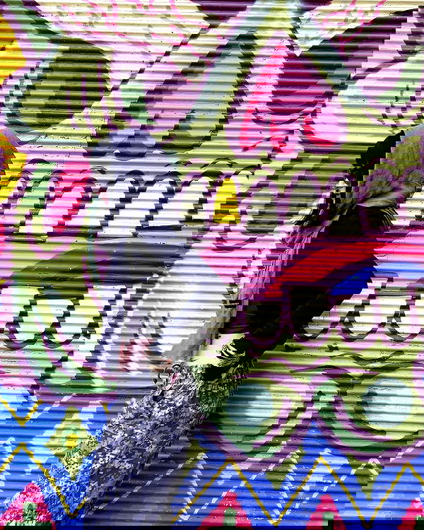 shanikaneko image ~ Altpins