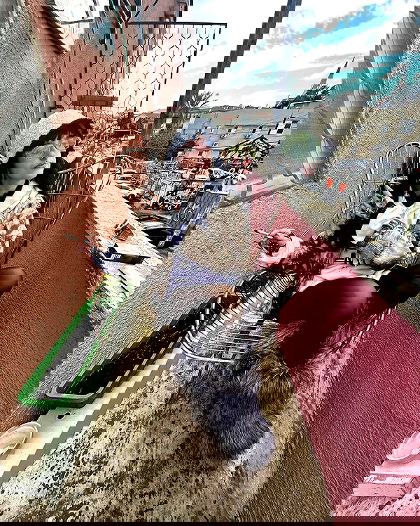 shanikaneko image ~ Altpins