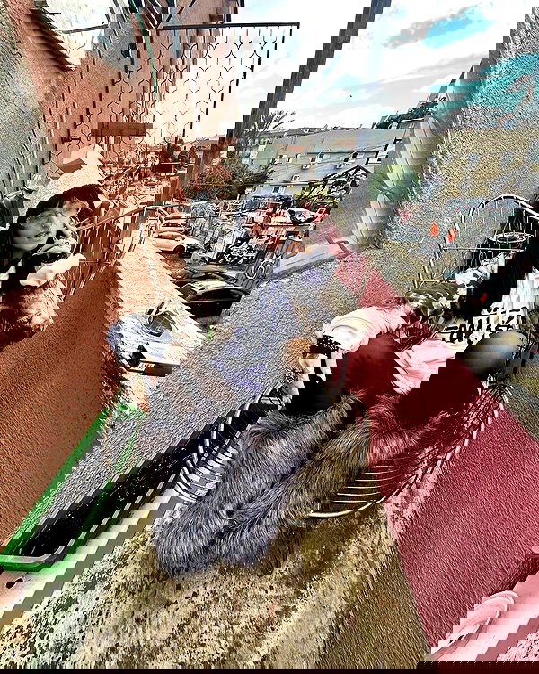 shanikaneko image ~ Altpins