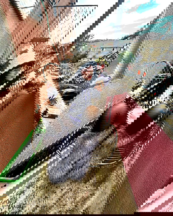 shanikaneko image ~ Altpins