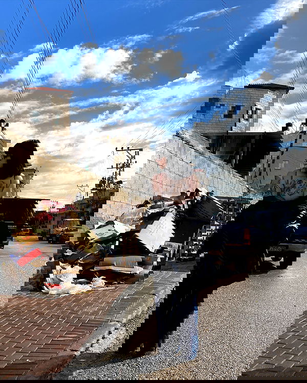 shanikaneko image ~ Altpins